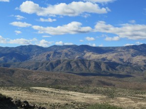 IMG_0005
