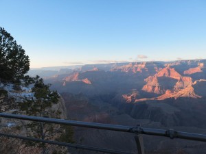 IMG_0009