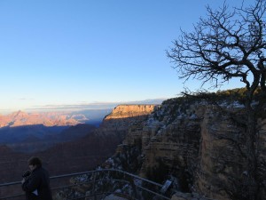 IMG_0015