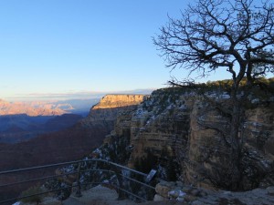 IMG_0016