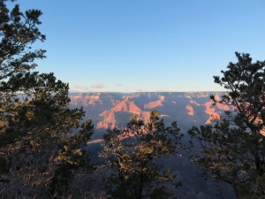 IMG_0017