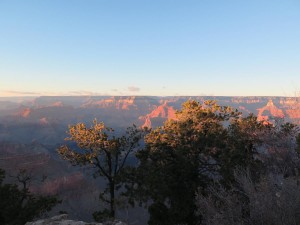 IMG_0023