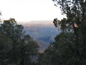 IMG_0028