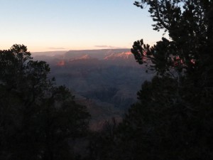 IMG_0029